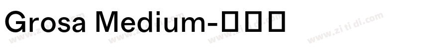Grosa Medium字体转换